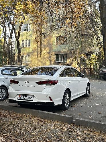 авто hyundai sonata: Hyundai Sonata: 2020 г., 2 л, Автомат, Газ, Седан — 5