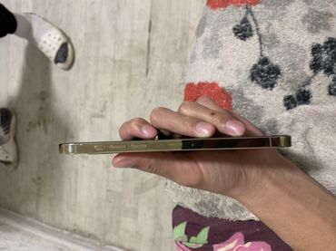 Apple iPhone: IPhone 12 Pro Max, Новый, 512 ГБ, Золотой, Зарядное устройство, Чехол, 78 % — 6