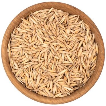 семена кукурузы цена: Семена и саженцы Овса, Самовывоз, Бесплатная доставка, Платная доставка