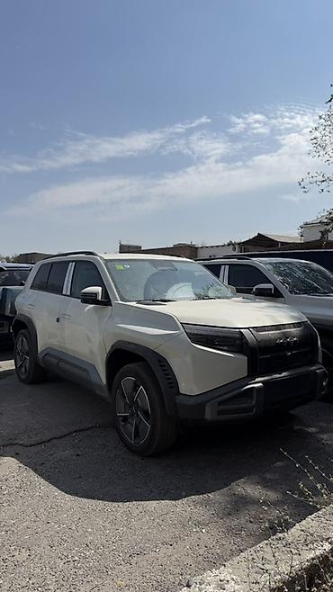 byd e1: BYD FangChengBao Leopard 3: 2026 г., Автомат, Электромобиль, Кроссовер — 1