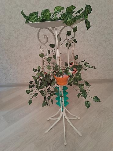 akvarium zavod istehsali: Yumru akvarium üçün əşyalar — 1