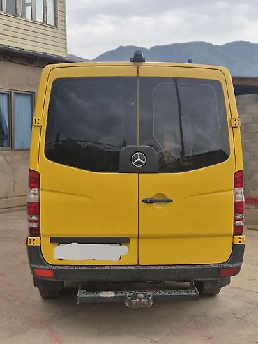 7 местные: Mercedes-Benz Sprinter (длинная база, высокий кузов), жёлтый фургон — 5