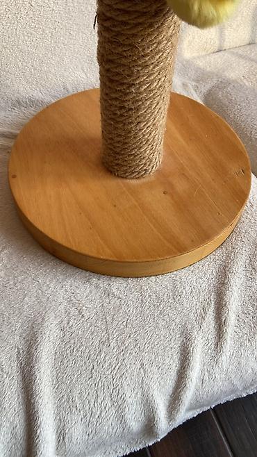 toy oudel: Pişik üçün qaşıma dirəyi - Material: təbii ağacdan hazırlanmış — 3