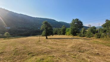 Torpaq sahələrinin satışı: Lerik rayonu Vizəzəmin kəndi ərazisində yerləşən ərazini tədqim — 8
