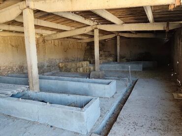 Продажа домов: Дом, 110 м², 4 комнаты, Собственник, Косметический ремонт — 4