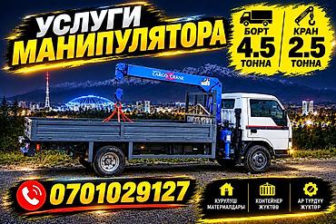 Манипулятор, Mitsubishi