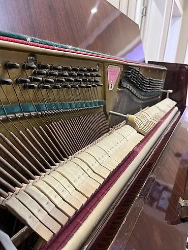 Klavişli alətlər: Tokkata upright pianino - Model: Tokkata, dik pianino (upright) - — 3