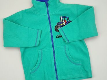 allegro sweterki rozpinane: Bluza, 5-6 lat, 110-116 cm, stan - Dobry