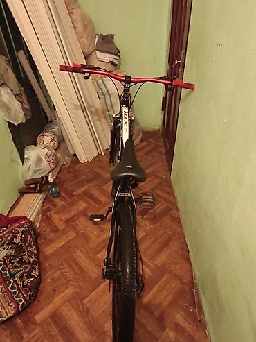roker velosiped: Real alıcıya endirim olacaq üstündə ne görürsüz verilir — 1