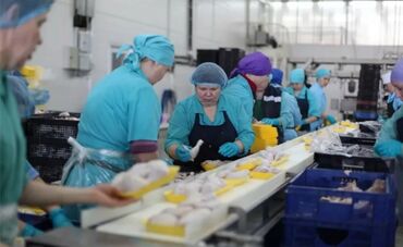 непольный рабочий день: Требуется Упаковщик, Оплата Дважды в месяц, Без опыта
