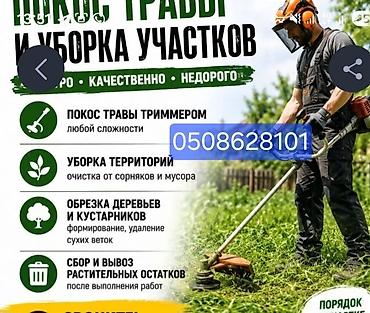 мурской одежда: Уборка территории, Уборка двора и сада — 1