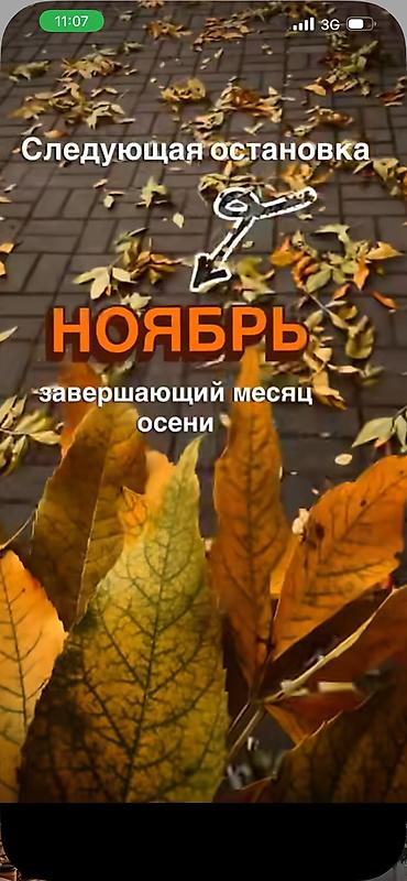 Комната беребиз, баардык шаартары бар, 2кыз алабыз