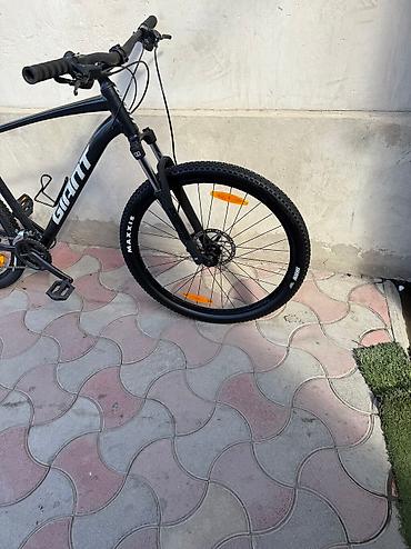 Горные велосипеды: Из Германии — 4