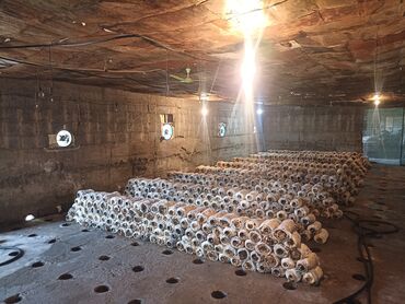 Продажа домов: Дом, 170 м², 6 комнат, Собственник, Косметический ремонт — 22