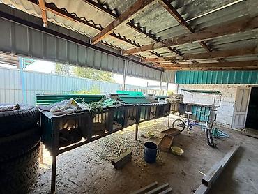 Продажа другой коммерческой недвижимости: 🐟 Продаётся действующее рыбное хозяйство с развитой инфраструктурой 📍 — 5