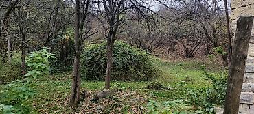 cıxarış nədir: 18 sot, Kənd təsərrüfatı, Mülkiyyətçi, Kupça (Çıxarış) — 6