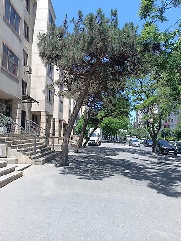 qarayevde gozellik salonu: Kirayə gözəllik salonu – Yasamal rayonu, Tri karona ilə üzbəüz - — 6