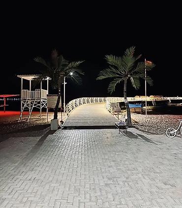 Продажа коттеджей и домов: Продается коттедж в селе Чок-Тал Palm Beach с обустроенным участком и — 28