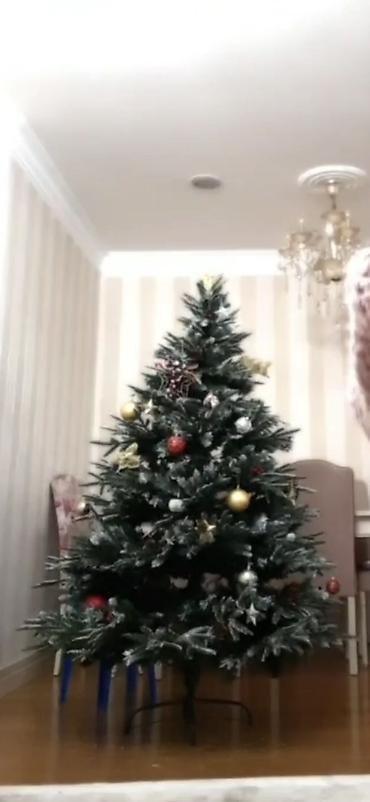🎄 Süni Yeni İl yolkası satılır! 🎄 Hündürlüyü təxminən 170 sm-dir lalafo.az -da 🎄 Süni Yeni İl yolkası satılır! 🎄 Hündürlüyü təxminən 170 sm-dir