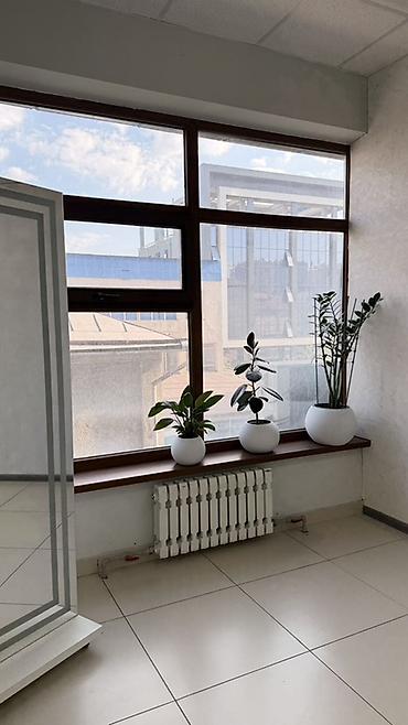 аренда помещение киоск: Сдаю Офисный шкаф: Сдаю Photo studio, 30 м², В бизнес центре, С ремонтом, 1 линия — 3
