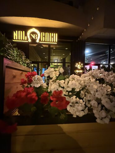 Otel, kafe, restoranlar: Ofisiant tələb olunur, Aylıq ödəniş, İstənilən yaş, 1 ildən az təcrübə