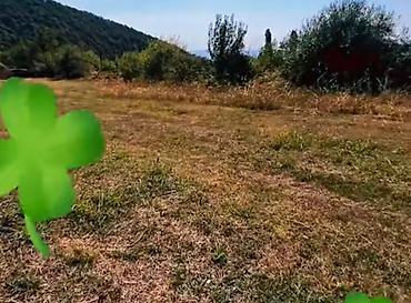 zaqatalada hovuzlu kiraye evler: 5 sot, Tikinti, Mülkiyyətçi — 4