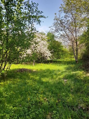 Torpaq sahələrinin satışı: Tikinti, Mülkiyyətçi, Kupça (Çıxarış)