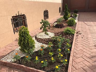 Другие стройуслуги: Сеем газон!☘️☘️ Посев газона🍀🍀 Косим газон🌱🌱 Травим — 5