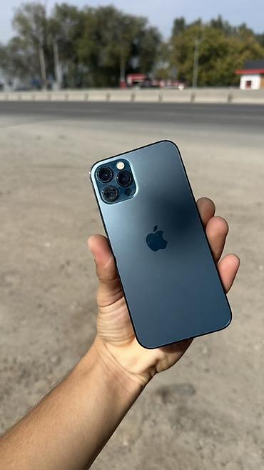 IPhone 12 Pro, цвет Pacific Blue - Экран 6.1", OLED Super Retina XDR