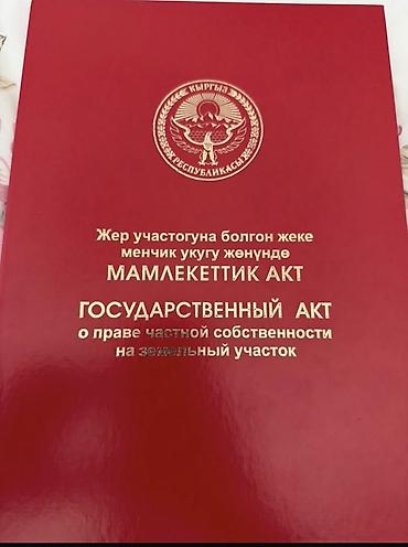 жер ак ордо 1: 5 соток, Курулуш, Кызыл китеп — 1