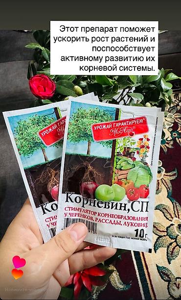 Корневин, СП — порошковый стимулятор корнеобразования для черенков at lalafo.kg Корневин, СП — порошковый стимулятор корнеобразования для черенков