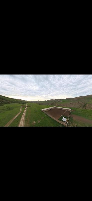 Кыймылсыз мүлк: Продаю кошару в урочище "Бөксө" выше с. Нижняя Серафимовна Ысык — 7