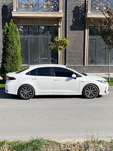 coroll: Toyota Corolla: 2022 г., Гибрид — 10