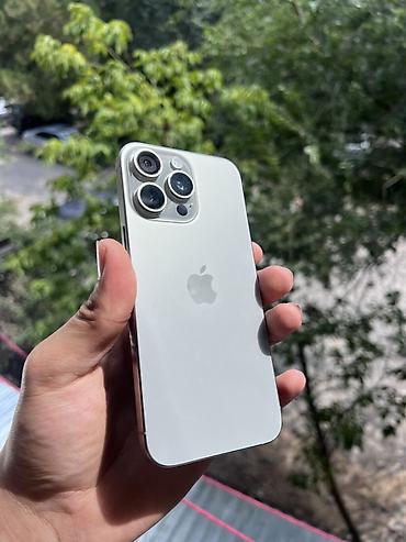 iphone 17e: IPhone 15 Pro Max, Б/у, 256 ГБ, Серебристый, Зарядное устройство, 98 % — 1