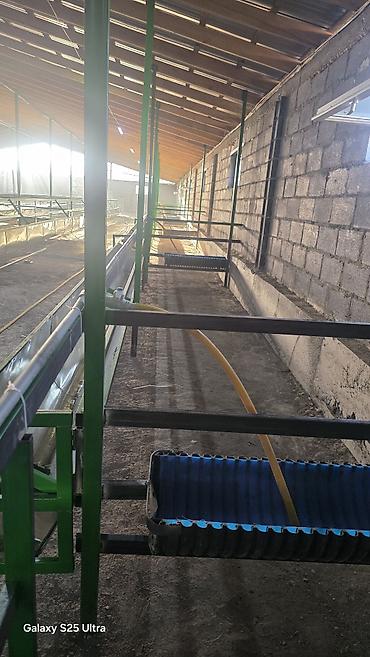Продажа коммерческой недвижимости: Сарай сатылат 100×24 метр 1500 койго аткормга. 500 койго место дайын — 7
