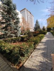 Продажа квартир: 5 и более комнат, 202 м², Элитка, 3 этаж, Евроремонт — 32