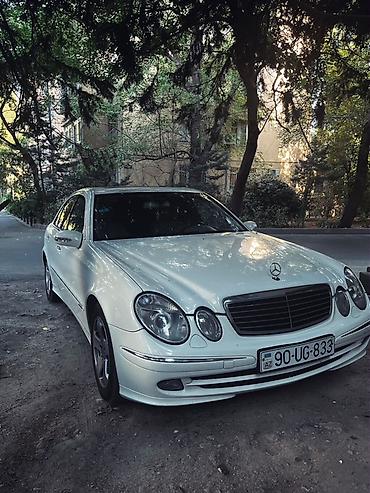 Mercedes-Benz: Mercedes-Benz E-Class (W211) sedan, ağ rəng. - Kuzov: 4 qapı — 1