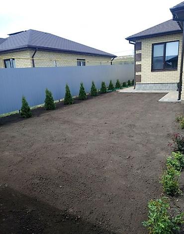 Другие товары для дома и сада: Услуги Садовника Стрижка живой изгороди Уборка дикой травы Покос at lalafo.kg — 10 Другие товары для дома и сада: Услуги Садовника Стрижка живой изгороди Уборка дикой травы Покос — 10