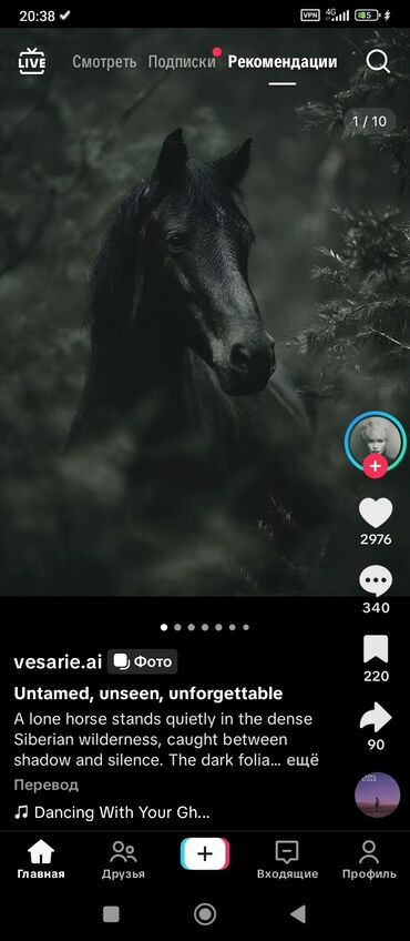 Картины: Арт-фотография «Untamed, unseen, unforgettable» от vesarie.ai - Жанр