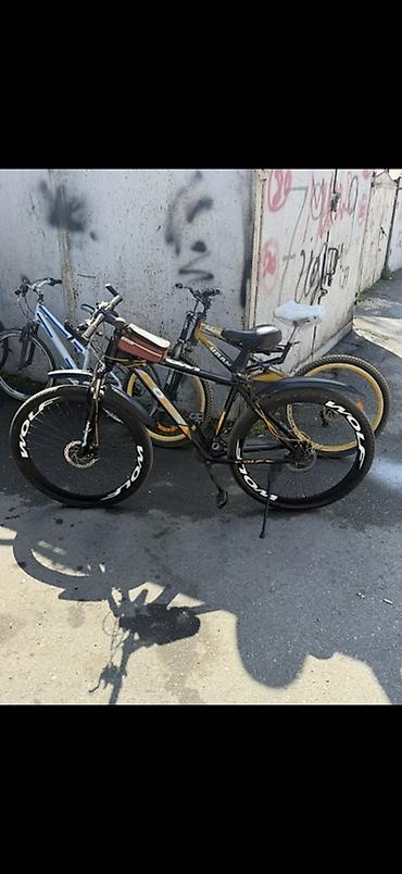 wolf bicycle: Şəhər və yüngül off-road üçün universal velosiped 𝐓𝐞𝐥𝐞𝐬𝛊𝐧 𝐠𝐨𝐭𝐮𝐫𝐮𝐧 - — 1
