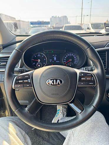 Kia: Kia Sorento: 2019 г., 2 л, Автомат, Дизель, Кроссовер — 14