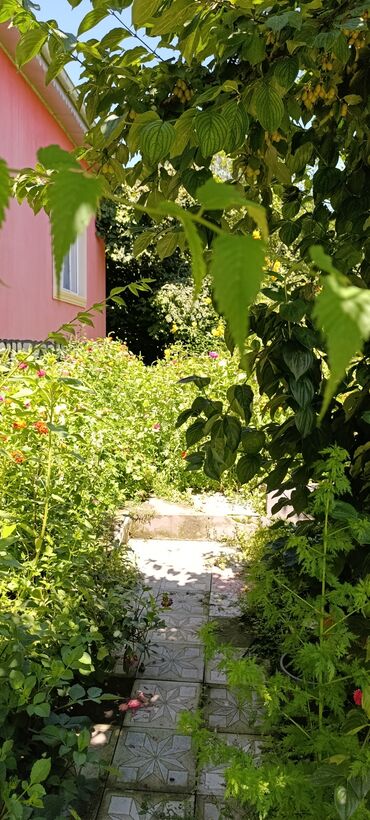 Günlük kirayə evlər: 120 kv. m, 4 otaqlı, Qaz, Su, İnternet -da lalafo.az — 3 Günlük kirayə evlər: 120 kv. m, 4 otaqlı, Qaz, Su, İnternet — 3