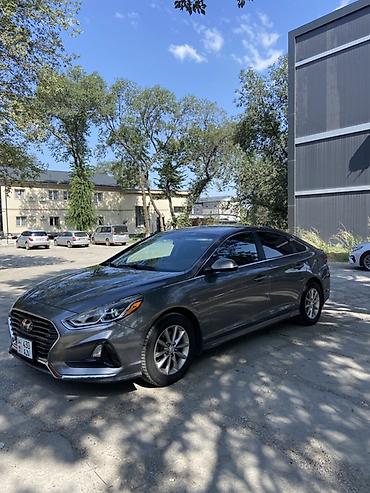sonata dn: Hyundai Sonata: 2019 г., 2.4 л, Автомат, Бензин, Седан — 1