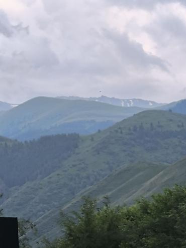 Штукатурка, шпаклевка: Штукатурка стен Больше 6 лет опыта — 20