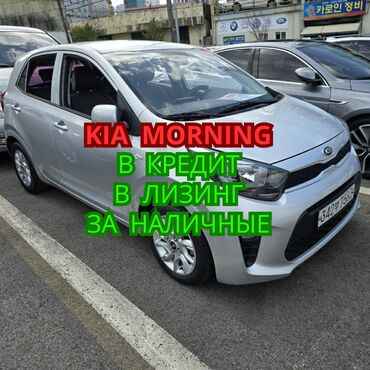 alfa romeo 75 3 mt: Kia Morning: 2019 г., 1 л, Автомат, Бензин, Хэтчбэк