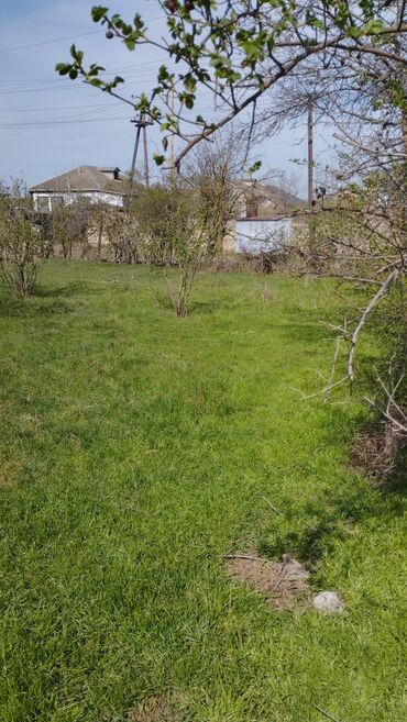 boş torpaq: Tikinti, Mülkiyyətçi, Kupça (Çıxarış)