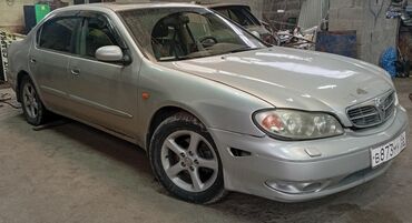 runx alex: Nissan Maxima: 2004 г., 3 л, Автомат, Бензин, Седан