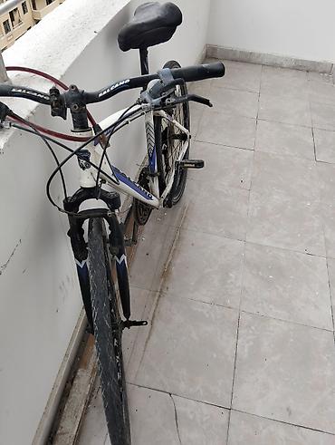 salcano: Salcano şəhər/trek velosipedi - Brend/model: Salcano (çərçivədə “City — 1