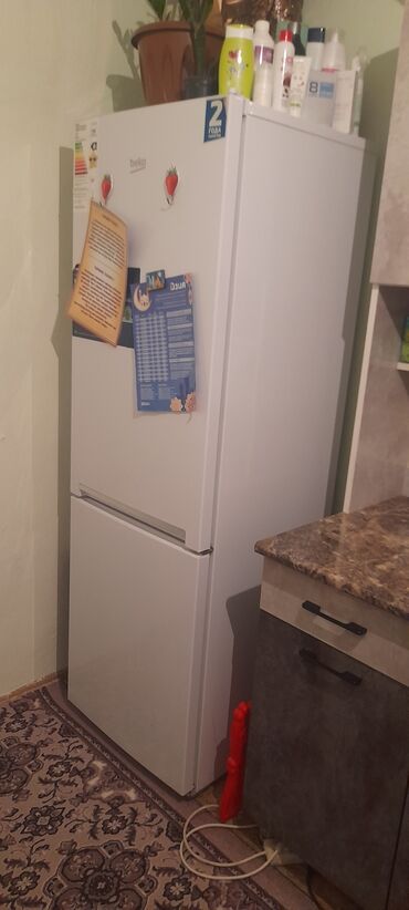 атлант холодильник цена: Холодильник Atlant, Б/у, Минихолодильник, 20000 *