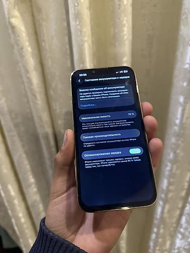 Apple iPhone: IPhone 13 Pro, 256 ГБ, 79 % — 4